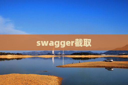 swagger截取